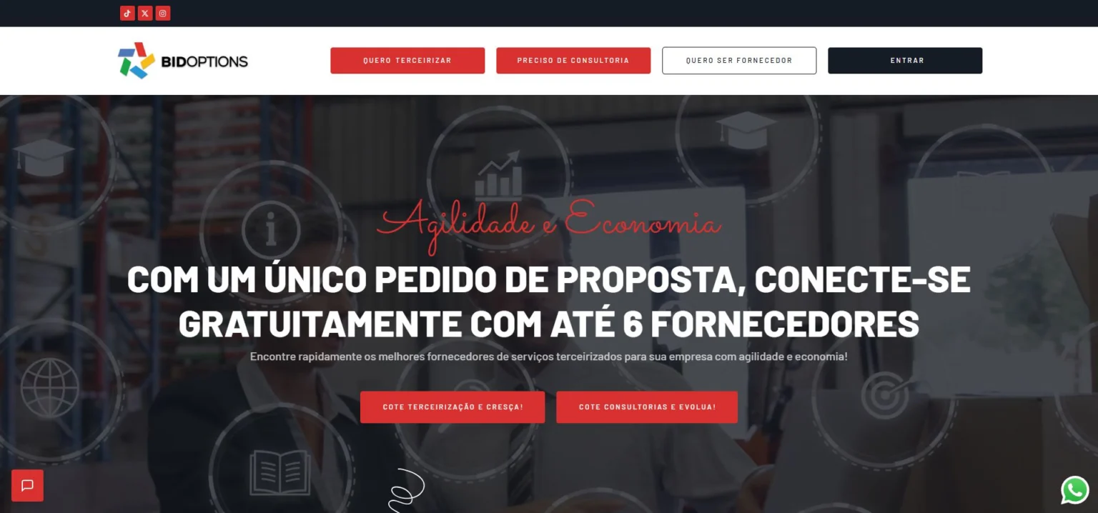 Captura do site de bidoptions